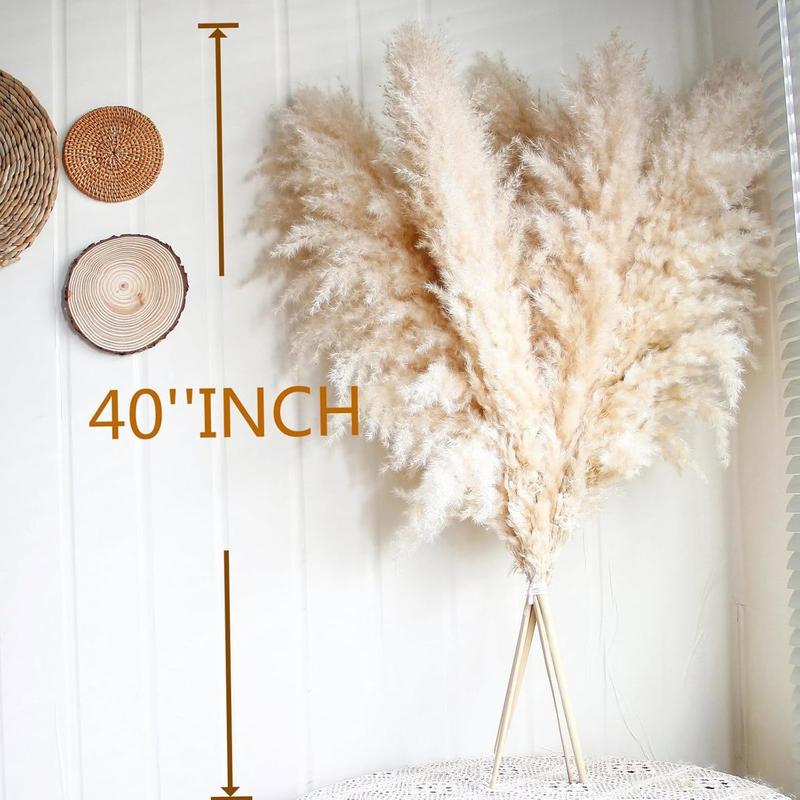 10pcs 40'' Pampas Grass Tall Decor - Pompas Floral, Tall Pampas Grass for Floor Vases, Living Room Floor, Floor Plants, , and Grass Wall Decor