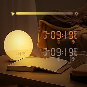 ecozy Sunrise Alarm Clock for Heavy Sleepers, Smart Wake Up Light with Sunrise Sunset Simulation Decor Adjustable Radio