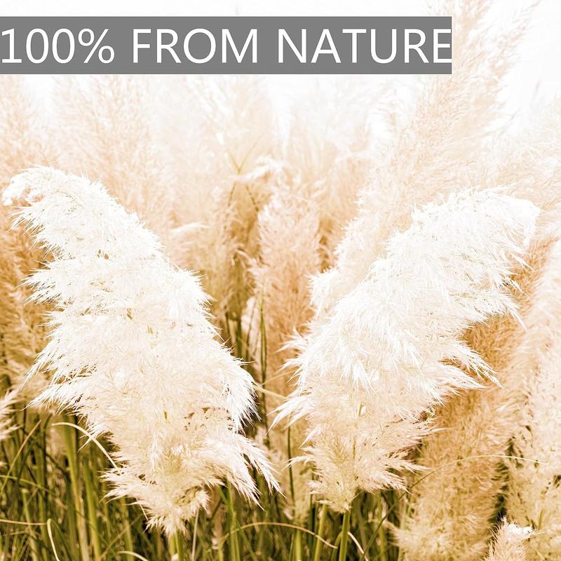 10pcs 40'' Pampas Grass Tall Decor - Pompas Floral, Tall Pampas Grass for Floor Vases, Living Room Floor, Floor Plants, , and Grass Wall Decor