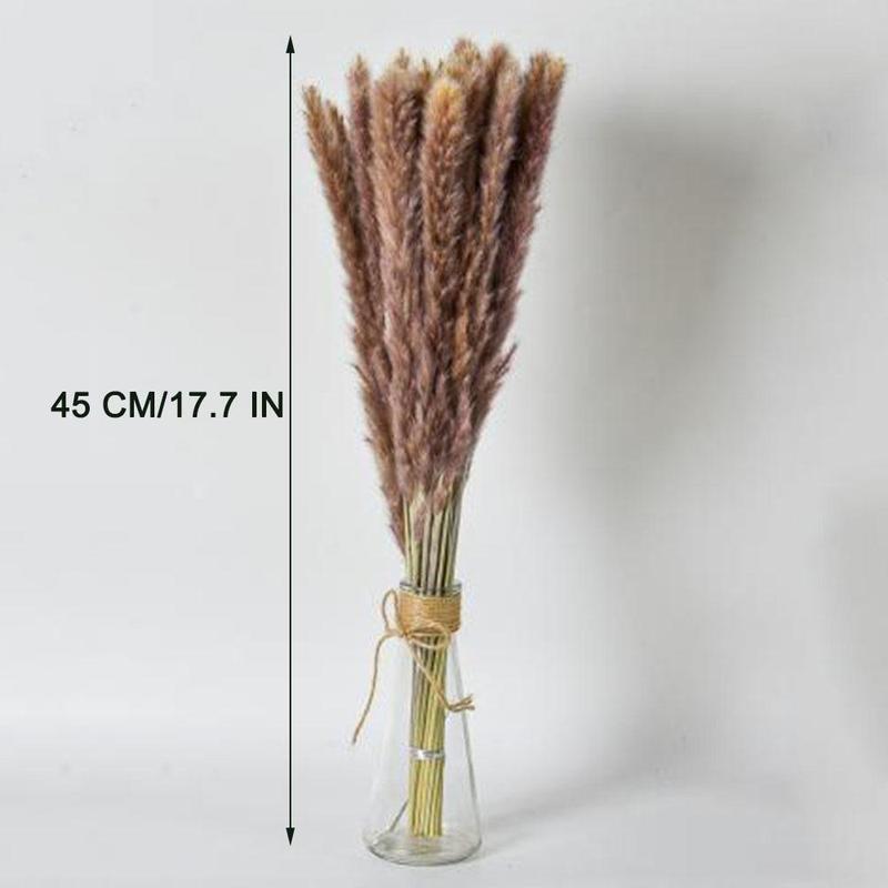 Dried Pampas Grass without Vase (65pcs set), Home Decorative Pampas Grass for Living Room Dining Room, Decorative Plants for Home Party Wedding, Halloween Decor