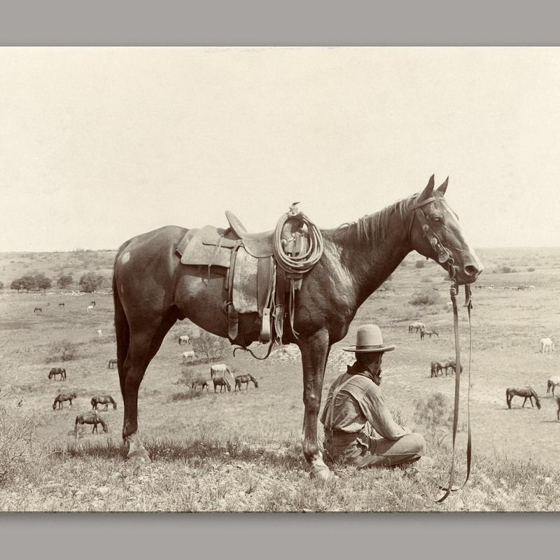 Vintage Photo Cowboy and Horse Print, Black and White Wall Art, Ready to Hang