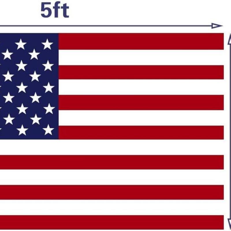 Megan Fox Black Bikini USA Flag Wall Tapestry for Home Decor, Dorm, Living Room, Bedroom, Pink Flag Design