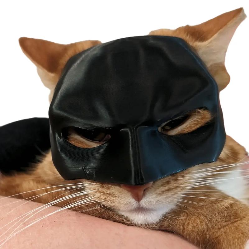 Batcat: 3D Printed Batman Cat Mask - Unleash Your Inner Feline Vigilante Accessories Accessory