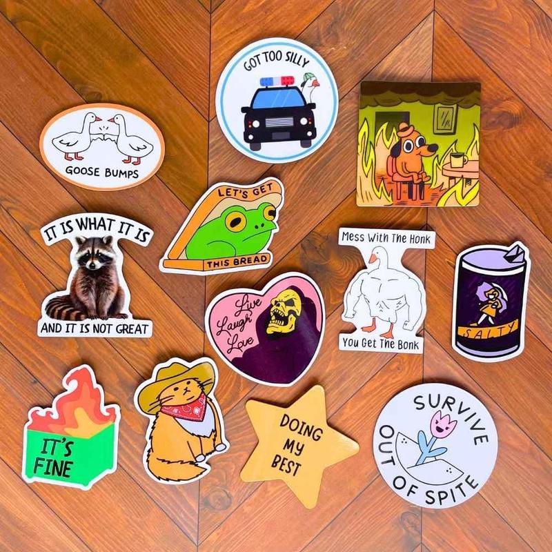 12PC Funny Fridge Magnets Cute Fun Sassy Quirky Novelty Magnet for Adults Car Desk Kitchen Meme This is Fine Dumpster Dog Live Laugh Love Howdy Silly Goose Bumps Raccoon Accessories Gifts