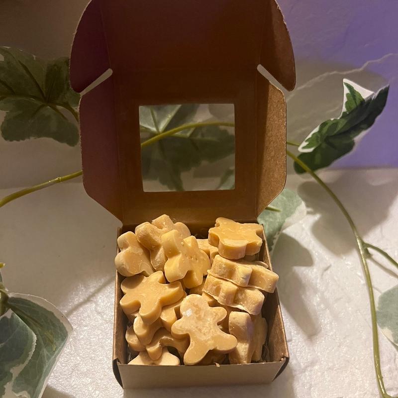 Mini Gingerbread Scented Wax Melts Gift