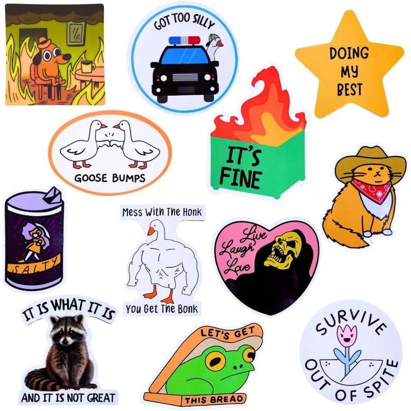 12PC Funny Fridge Magnets Cute Fun Sassy Quirky Novelty Magnet for Adults Car Desk Kitchen Meme This is Fine Dumpster Dog Live Laugh Love Howdy Silly Goose Bumps Raccoon Accessories Gifts