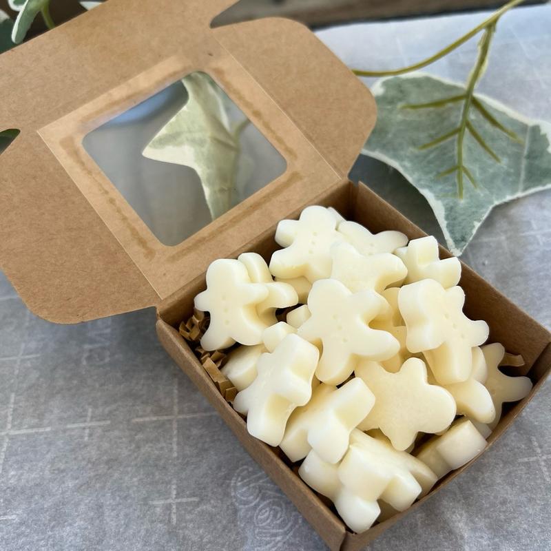 Mini Gingerbread Scented Wax Melts Gift