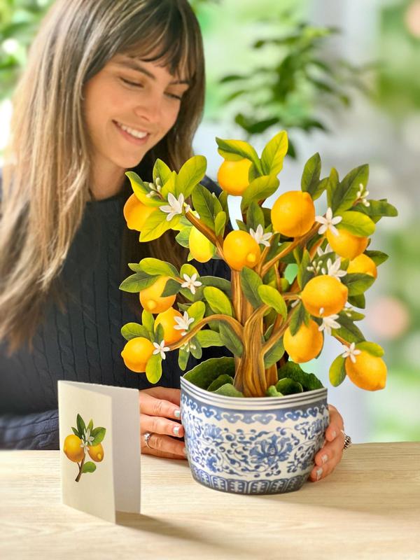 Lemon Blossom Tree