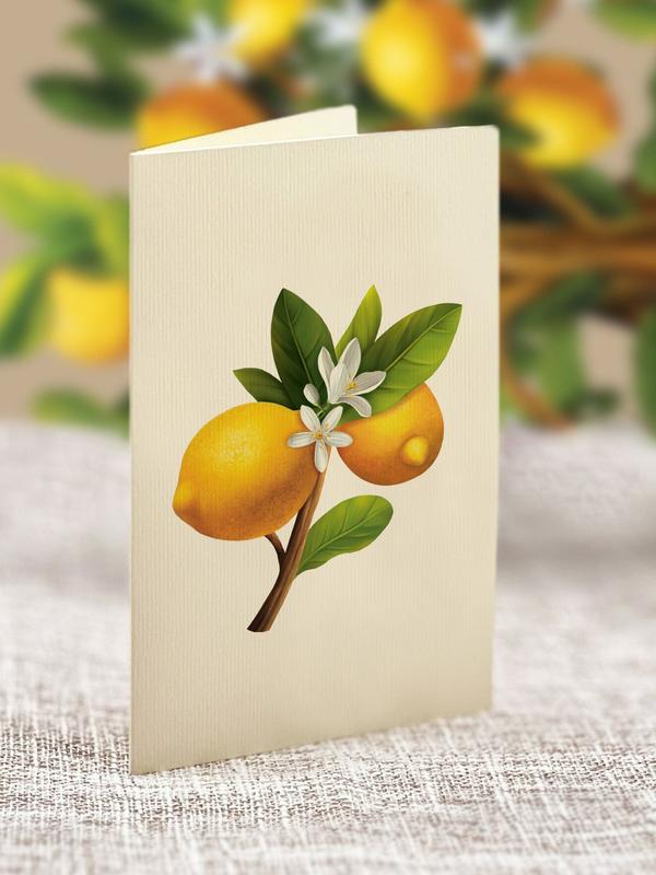 Lemon Blossom Tree