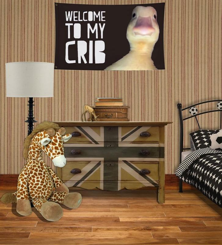 Welcome to My Crib Flag 3x5FT,Printed Polyester,Vibrant Colors, Flags with 2 Brass Grommets Banners