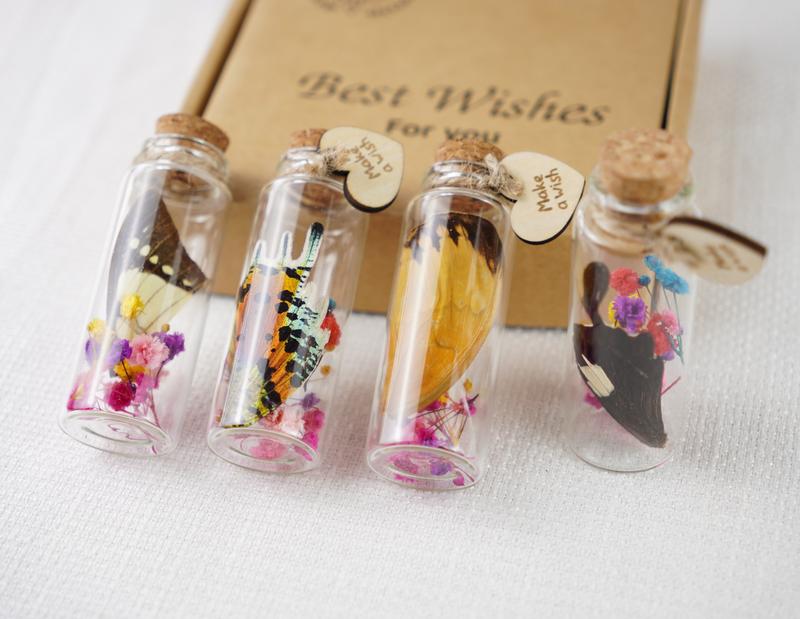 Jar of Real Butterfly Wing Flower Insect Wish Bottles Romantic Gifts Lucky Floral Entomology Nature Display Home Decor Decoration Boho