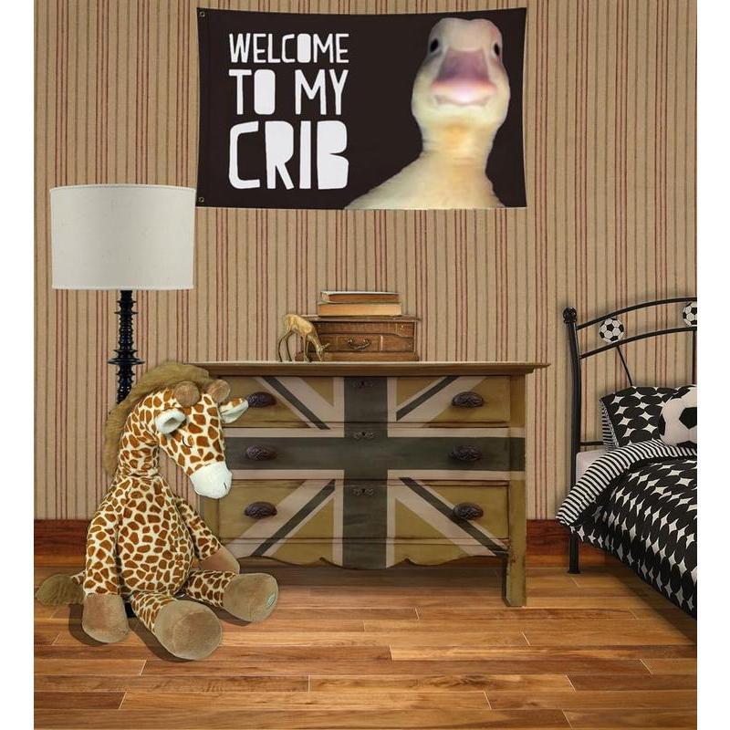 Welcome to My Crib Flag 3x5FT,Printed Polyester,Vibrant Colors, Flags with 2 Brass Grommets Banners