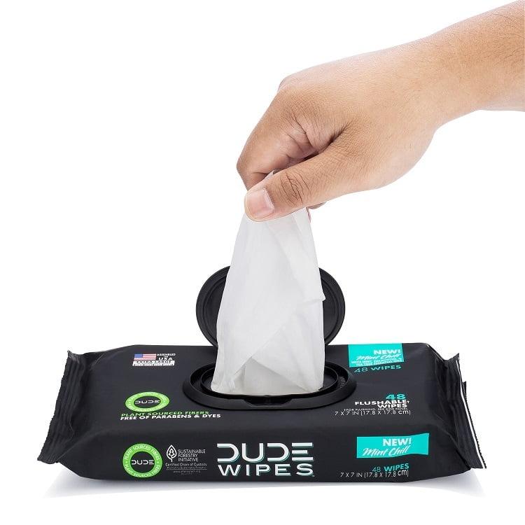 Toilet DUDE Flushable Wipes, Extra Large Mint Chill Wet Wipes for Adult, 48 Count, 5 Pack (240 Total)