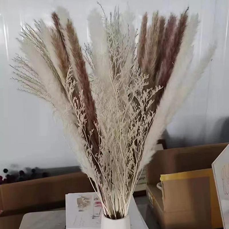 Sweets Room Decor Natural Dried Pampas Grass (44pcs set), Artificial Flower, Decorative Flowers, Plants & Fruit for Home Living Room Bedroom Office Party Wedding Decor, Summer Gift Ideas, Boyfriend Gifts