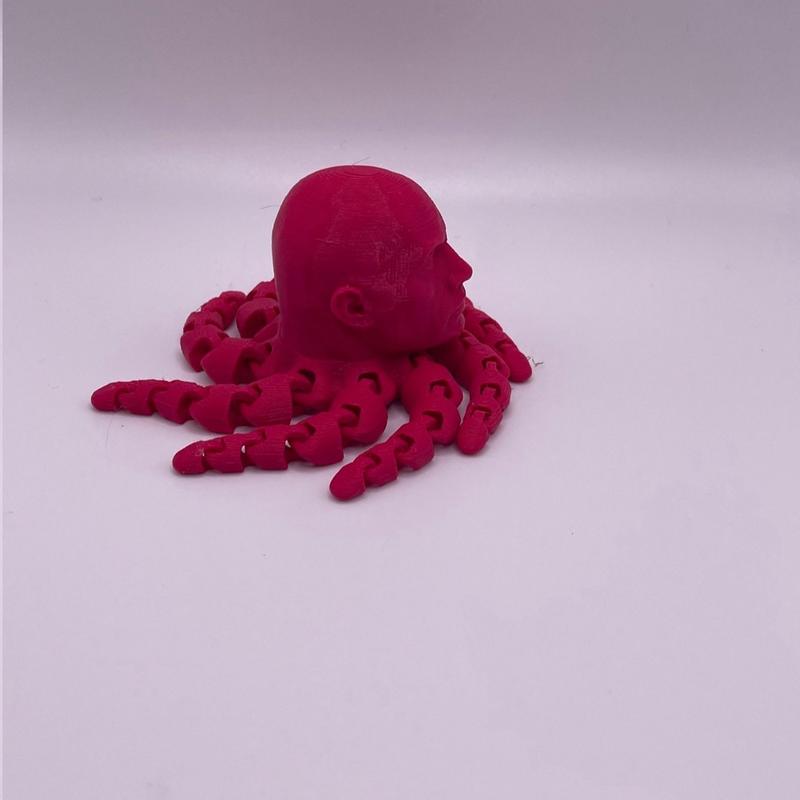 The Rock Octopus 3D Printed, Rocktopus Figurine