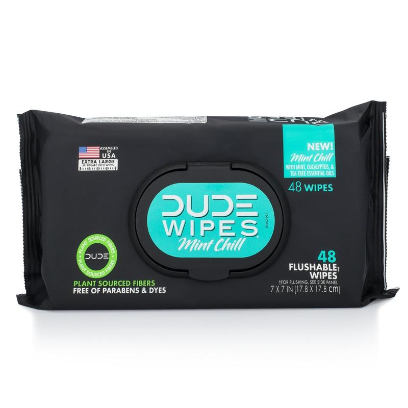 Toilet DUDE Flushable Wipes, Extra Large Mint Chill Wet Wipes for Adult, 48 Count, 5 Pack (240 Total)