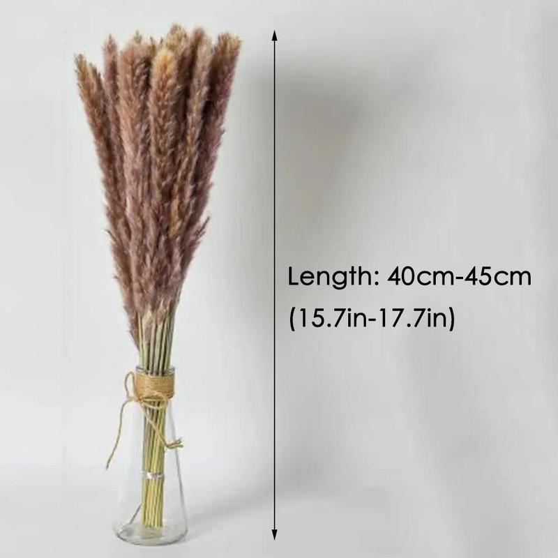 Sweets Room Decor Natural Dried Pampas Grass (44pcs set), Artificial Flower, Decorative Flowers, Plants & Fruit for Home Living Room Bedroom Office Party Wedding Decor, Summer Gift Ideas, Boyfriend Gifts