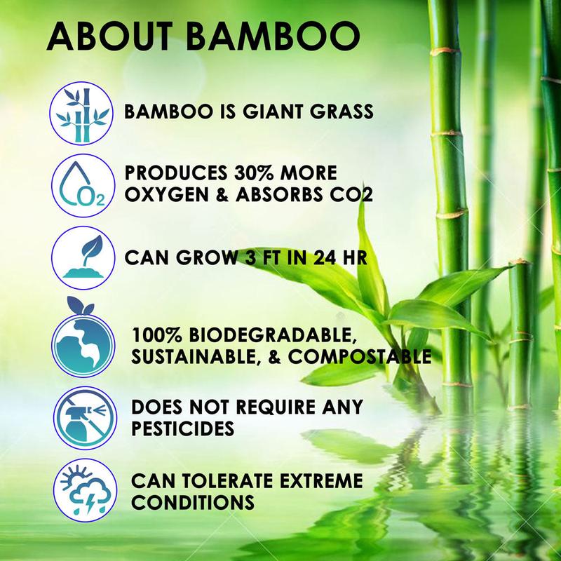 BOONBOO Toilet Paper | 100% Bamboo | Unbleached 4 Rolls | 3-Ply 180 Sheets | PFAS-FREE | Sustainable & Renewable | Plastic-Free & Tree-Free