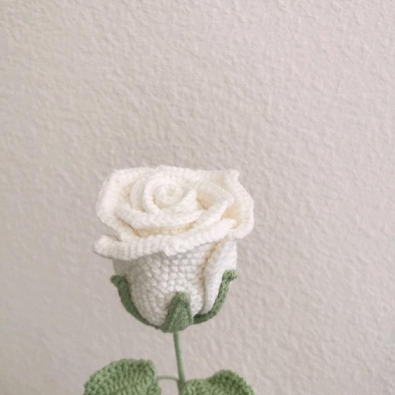 Dq&Dq single crochet rose+crochet bouquet+crochet flower+handmade flower+forever flower+birthday gift+creative gift+christmas Gift+ Housewarming Present+graduation gift + Marriage Proposal Gift+ Gift for Friends and Family+crochet rose： Decor Decorative k