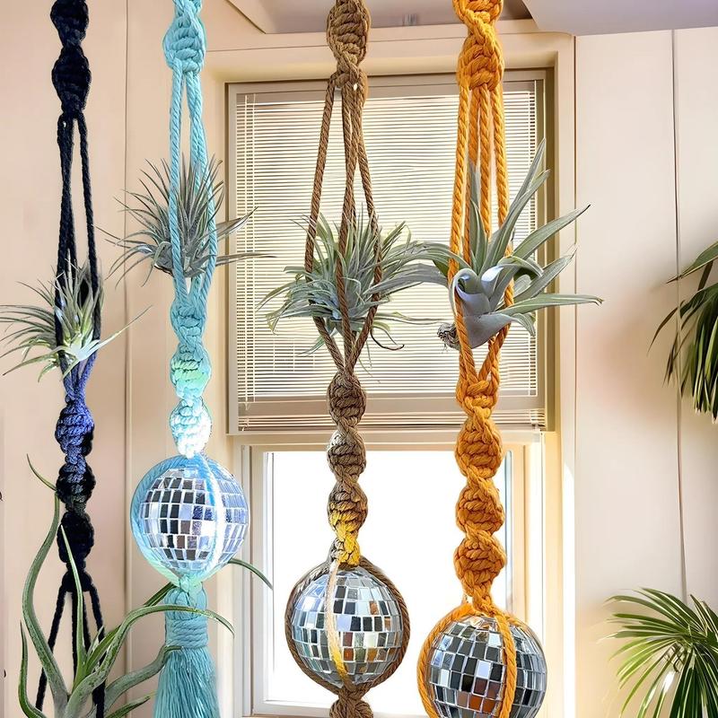 Air Plant And Air Plant Holder Hanging Set - Air Plant Hanger Decor - Air Plants Suncatcher - Tillandsia Holder - Gifts For Plant lovers