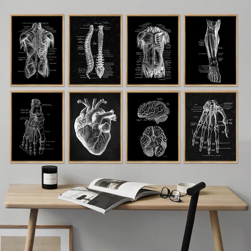 Skeleton Anatomy Pattern Unframed Painting, 8pcs set Vintage Simple Canvas Medical Wall Art Poster, Wall Art Decor for Home Classroom Office, Home Decor