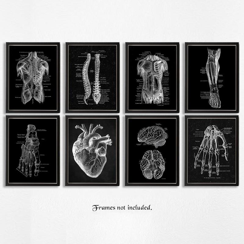 Skeleton Anatomy Pattern Unframed Painting, 8pcs set Vintage Simple Canvas Medical Wall Art Poster, Wall Art Decor for Home Classroom Office, Home Decor