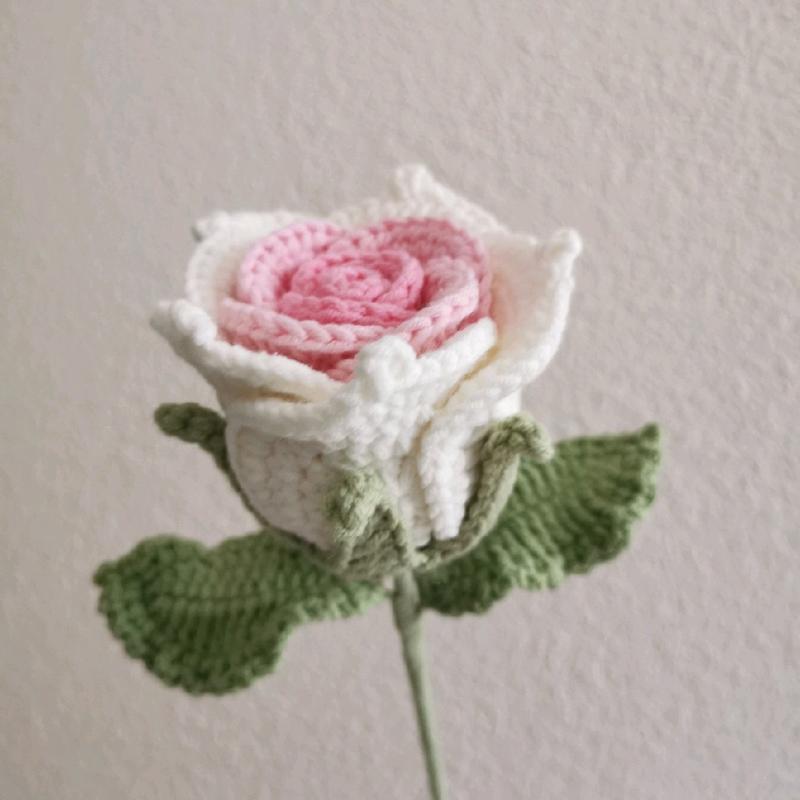 Dq&Dq single crochet rose+crochet bouquet+crochet flower+handmade flower+forever flower+birthday gift+creative gift+christmas Gift+ Housewarming Present+graduation gift + Marriage Proposal Gift+ Gift for Friends and Family+crochet rose： Decor Decorative k