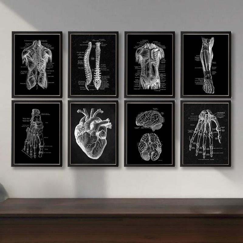 Skeleton Anatomy Pattern Unframed Painting, 8pcs set Vintage Simple Canvas Medical Wall Art Poster, Wall Art Decor for Home Classroom Office, Home Decor