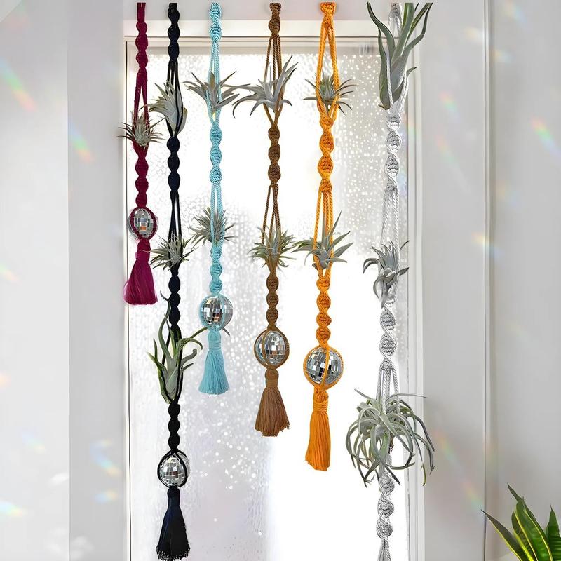 Air Plant And Air Plant Holder Hanging Set - Air Plant Hanger Decor - Air Plants Suncatcher - Tillandsia Holder - Gifts For Plant lovers