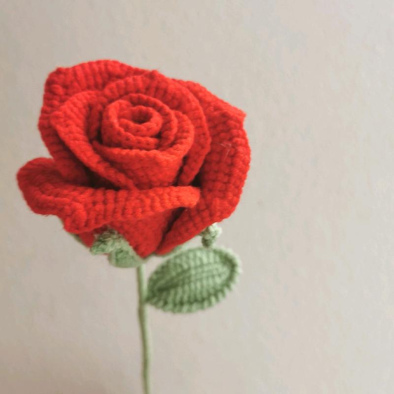 Dq&Dq single crochet rose+crochet bouquet+crochet flower+handmade flower+forever flower+birthday gift+creative gift+christmas Gift+ Housewarming Present+graduation gift + Marriage Proposal Gift+ Gift for Friends and Family+crochet rose： Decor Decorative k