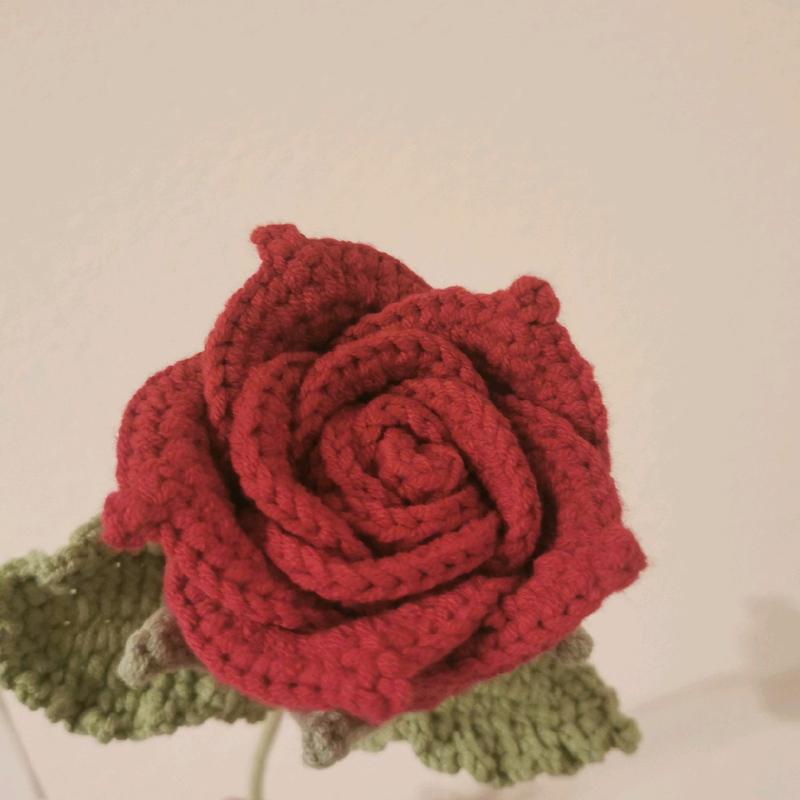 Dq&Dq single crochet rose+crochet bouquet+crochet flower+handmade flower+forever flower+birthday gift+creative gift+christmas Gift+ Housewarming Present+graduation gift + Marriage Proposal Gift+ Gift for Friends and Family+crochet rose： Decor Decorative k