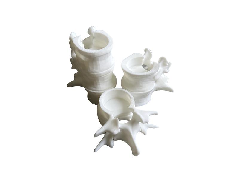 Spine Candle Holder - Tea Candle - 3 Spine Set