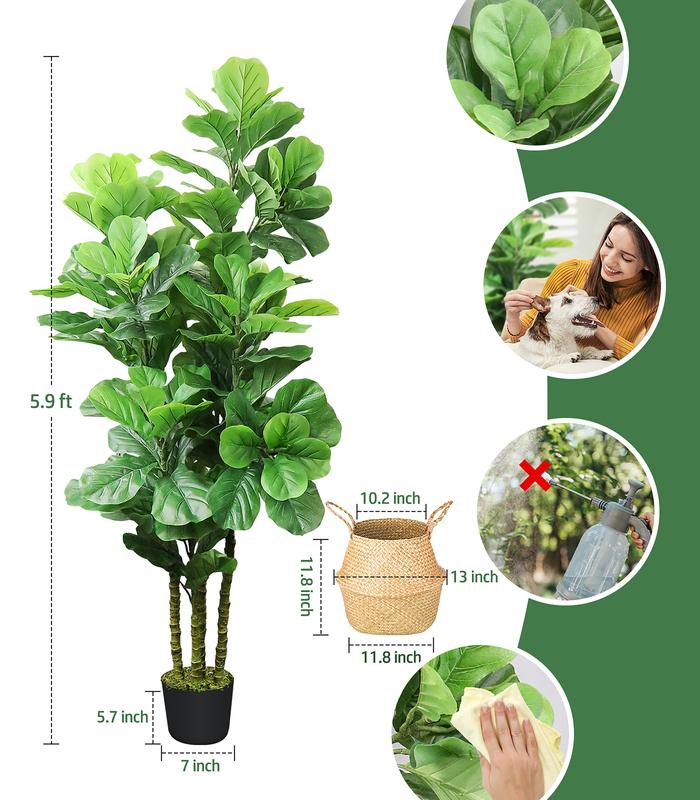 HOMLUX 6ft Artificial Fiddle Fig Tree with Woven Seagrass Plant Basket, Perfect for Living Room, Office, or Bedroom