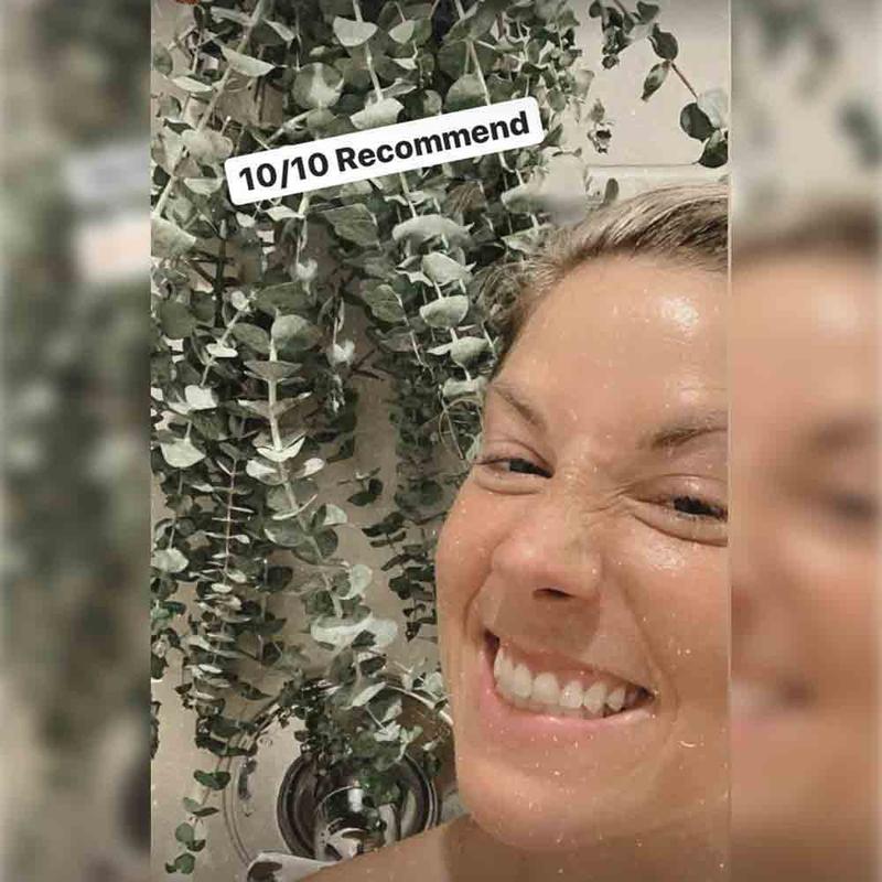 Shower Eucalyptus Bouquet USA Fresh [Ribbon To Hang In Shower Included] Large Stems Branches Natural Live and Aromatic Self Care Leaves Bundle | Natural Real Eucalyptus Leaves Shower Decor Home Decor Aromatic Shower Plant, Scent Bathroom Eucalipto