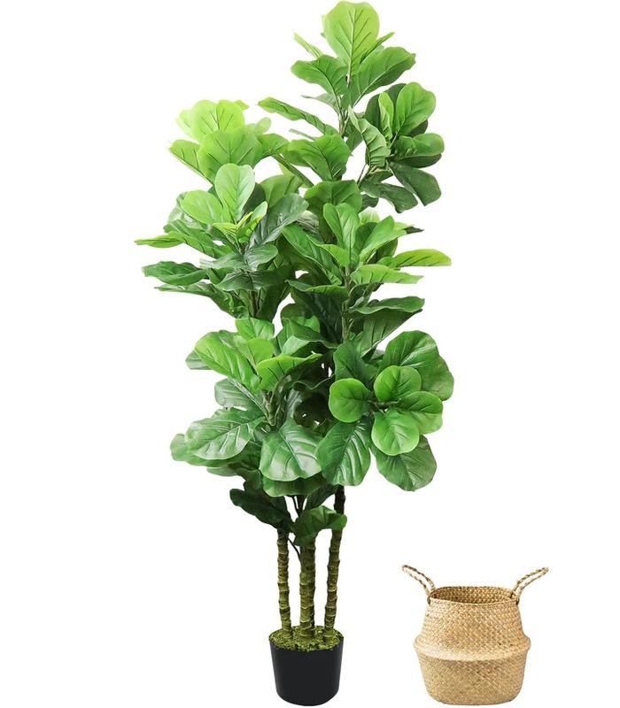 HOMLUX 6ft Artificial Fiddle Fig Tree with Woven Seagrass Plant Basket, Perfect for Living Room, Office, or Bedroom