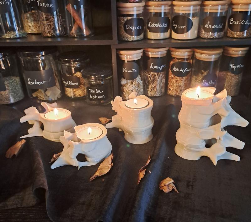 Spine Candle Holder - Tea Candle - 3 Spine Set