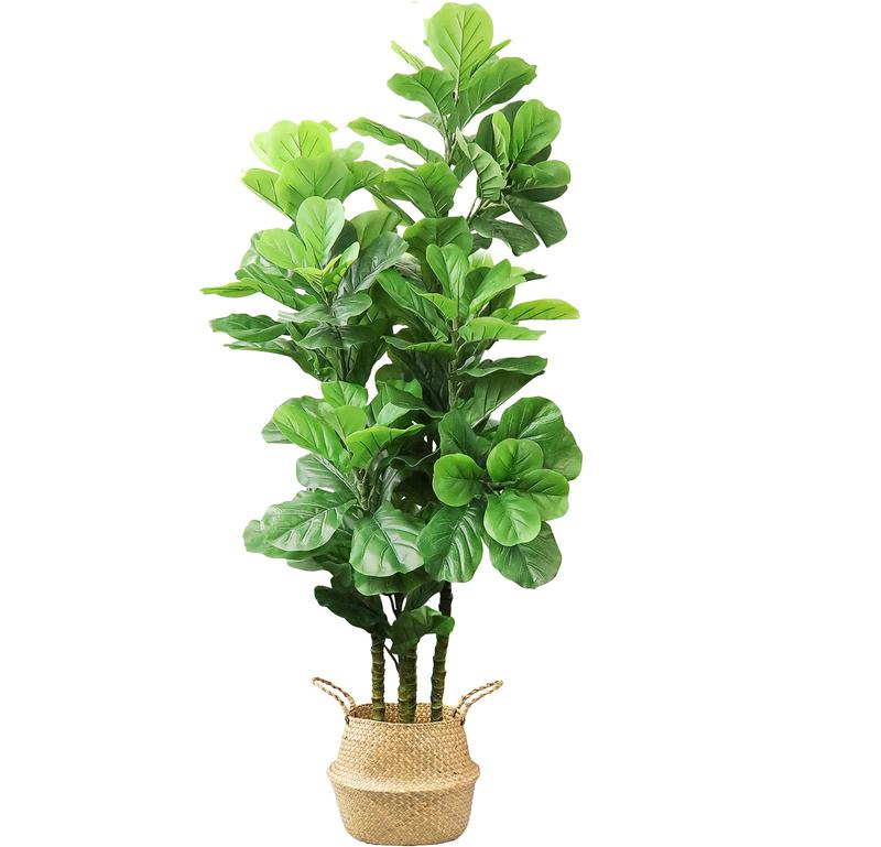 HOMLUX 6ft Artificial Fiddle Fig Tree with Woven Seagrass Plant Basket, Perfect for Living Room, Office, or Bedroom