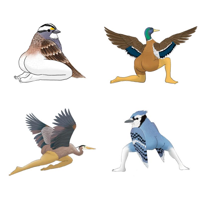 Precise Bird Stickers for Expert Birders (4-Pack) - 2024 First Edition funny sticker office decor