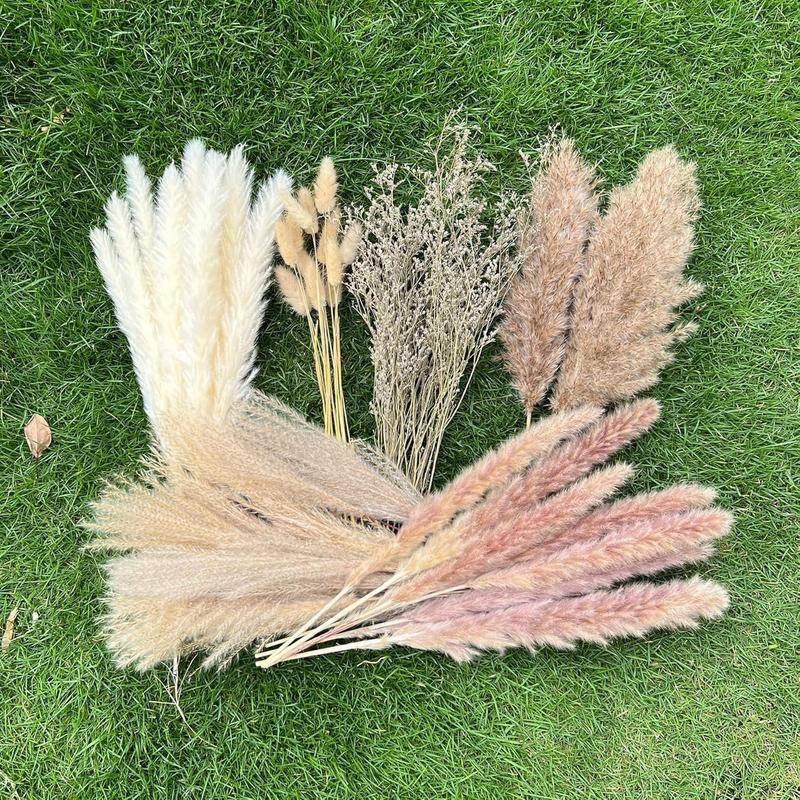 100Pcs Pampas Grass Boho Home Decor 17 inch Natural Dried Flowers-Pampas Grass Contains Bunny Tails White Pampas Brown Pampas.Boho Decor for Farmhouse Wedding Boho Wall Bathroom Office Kitchen…