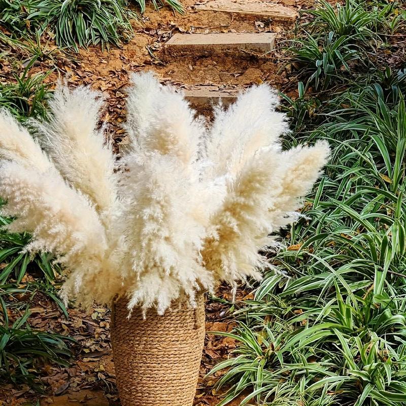 16 Pcs 38 Inch Extra Tall Pampas Grass Bouquet - Luxurious Fluffy Decor for Wedding, Party, Farmhouse, Bohemian Style, Restaurant, and Home Vase Decoration - Easy to Shape and Maintain, Long-Lasting, and Hypoallergenic