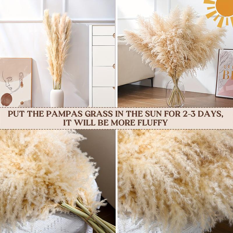 16 Pcs 38 Inch Extra Tall Pampas Grass Bouquet - Luxurious Fluffy Decor for Wedding, Party, Farmhouse, Bohemian Style, Restaurant, and Home Vase Decoration - Easy to Shape and Maintain, Long-Lasting, and Hypoallergenic