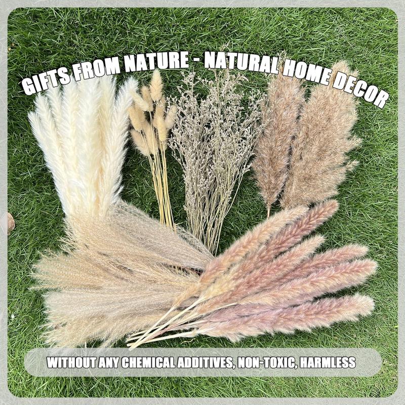 100Pcs Pampas Grass Boho Home Decor 17 inch Natural Dried Flowers-Pampas Grass Contains Bunny Tails White Pampas Brown Pampas.Boho Decor for Farmhouse Wedding Boho Wall Bathroom Office Kitchen…