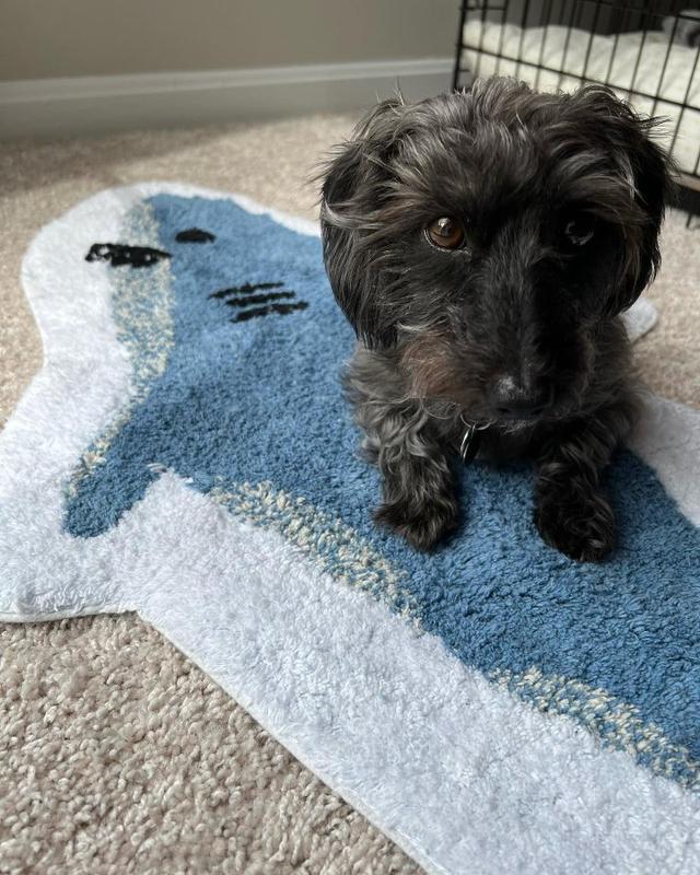 Shark Bath Rug - Cute Design, Soft and Absorbent for Bathroom