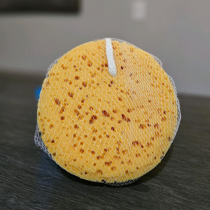 Bath Sponge (DT)